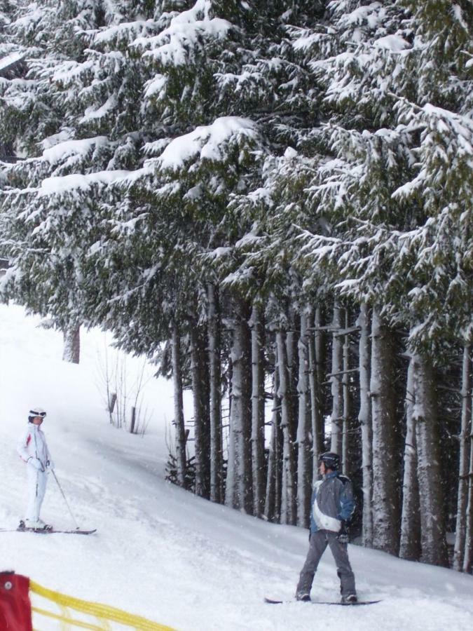Appartement Schneerose Tauplitz Exteriér fotografie
